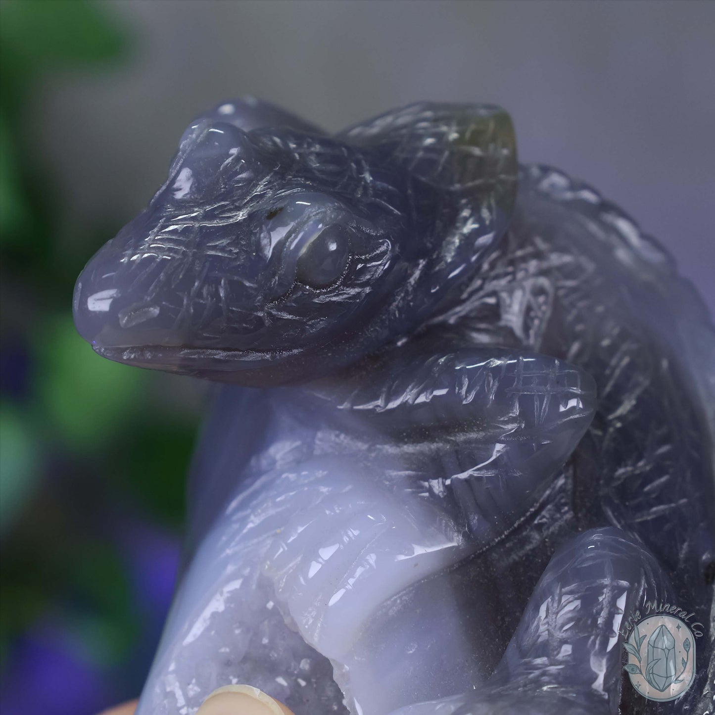 Hand Carved Druzy Quartz Agate Geode Lizard On Rock