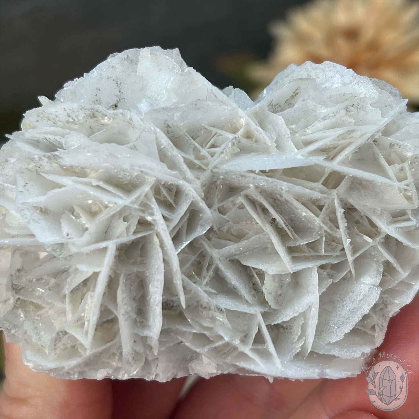 UV Reactive Bladed or Paper Calcite Pet Rock Carving