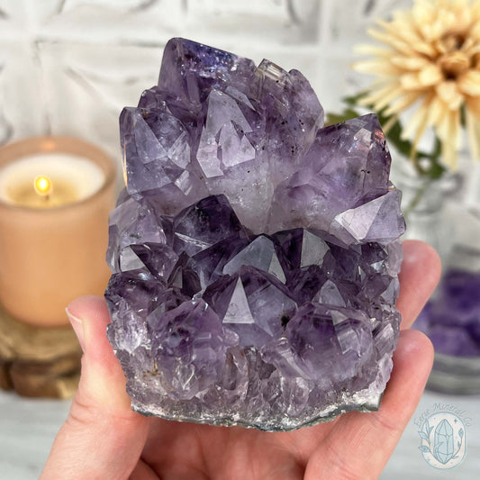 Brazilian Amethyst Crystal Cluster with Golden Goethite Inclusions