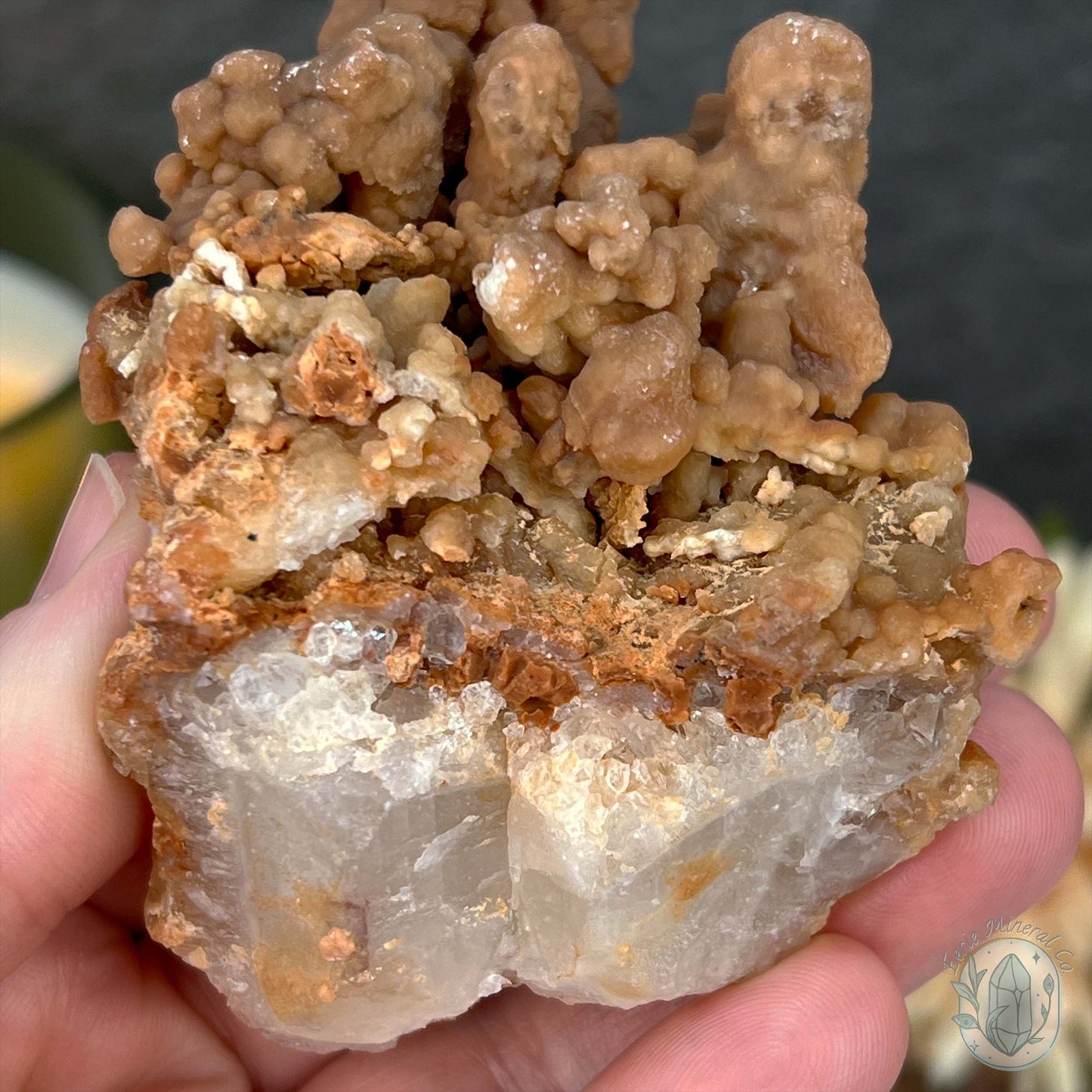 Natural Cave Calcite Stalactite Specimen