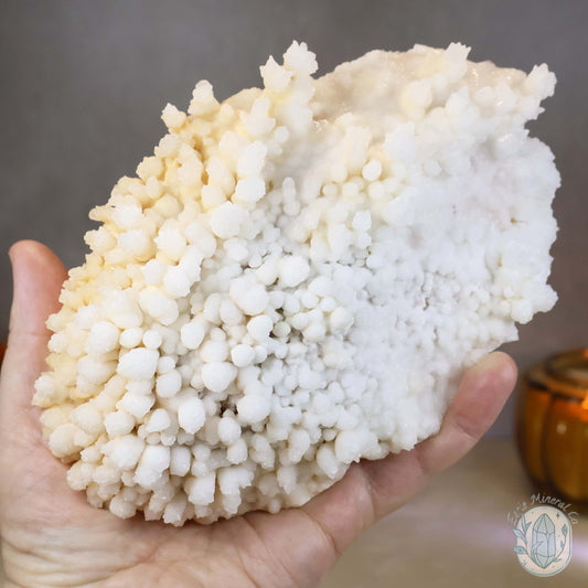 Cream Colored Calcite Cave Stalactite Specimen