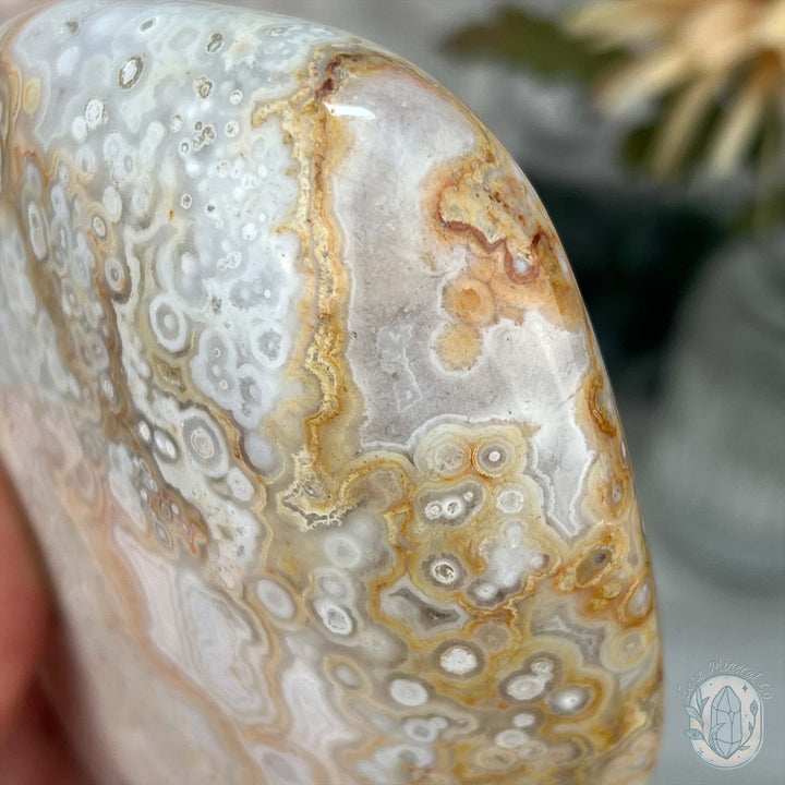 Flower Agate From Madagascar Polished FreeformDruzy Flower Agate From Madagascar Polished Freeform
