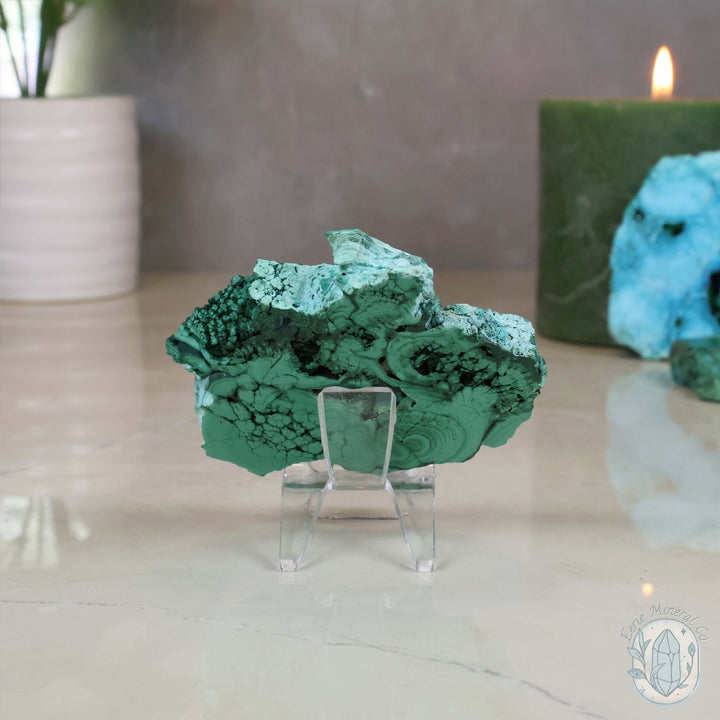 Polished Raw Malachite with Chrysocolla Slab with Display Stand