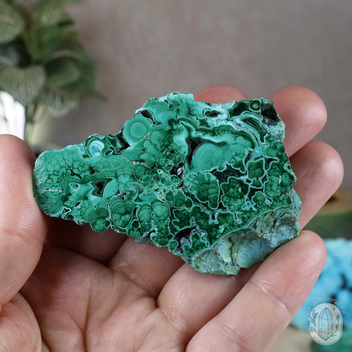 Polished Chrysocolla and Malachite Slab with Stand