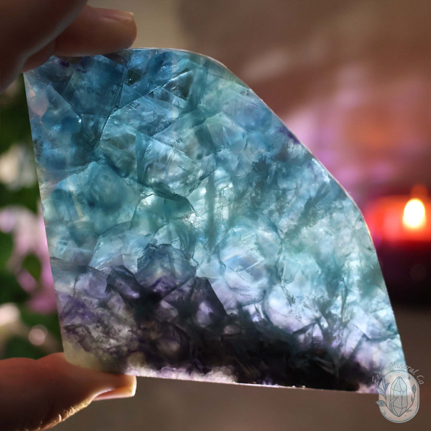 Polished Rainbow Feather Snowflake Fluorite Slab