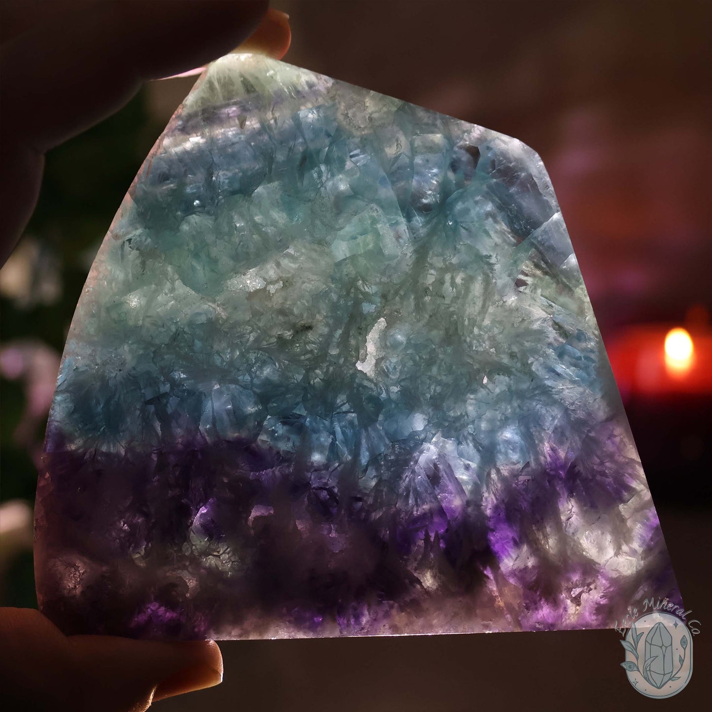Polished Rainbow Feather Snowflake Fluorite Slab