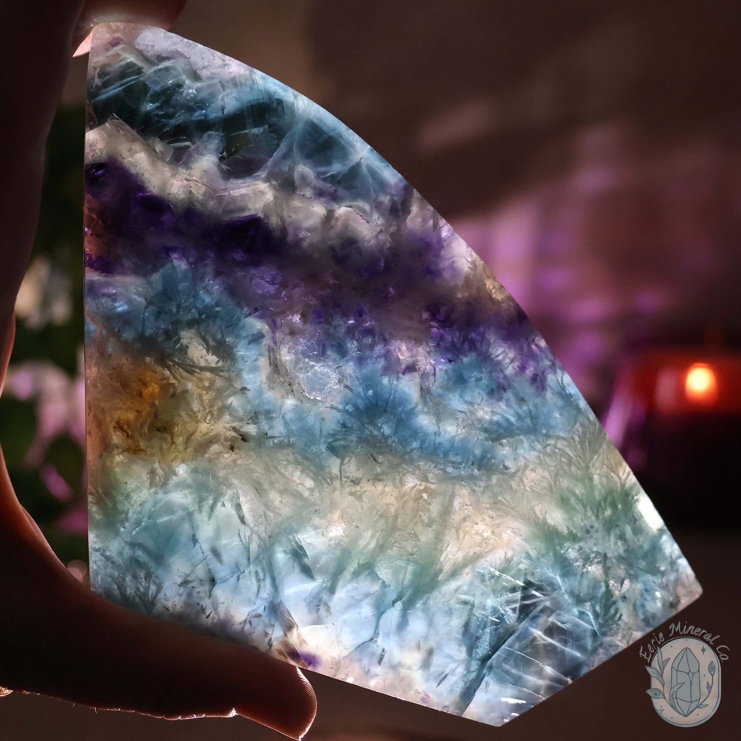 Polished Rainbow Feather Snowflake Fluorite Slab