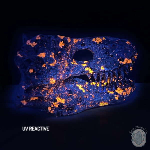 UV Reactive Emberlite aka Firestone Dinosaur Skull Carving