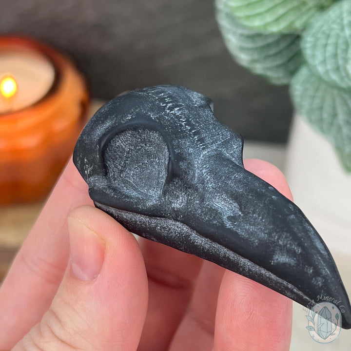 Black Obsidian Raven Skull Matte Finish Carvings