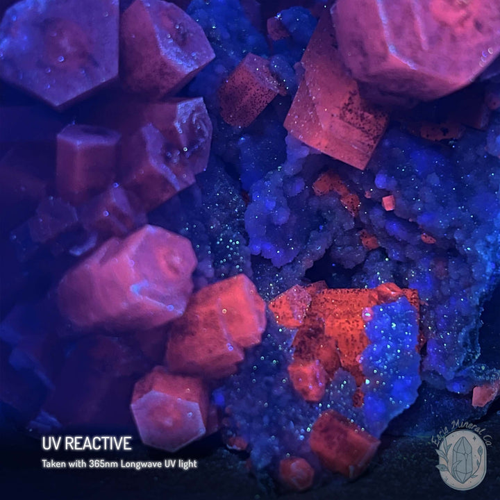 UV Reactive Druzy Columnar Calcite Cluster Specimen