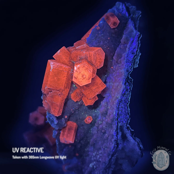 UV Reactive Druzy Columnar Calcite Cluster Specimen