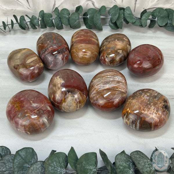 Polished Petrified Wood Palm Stones