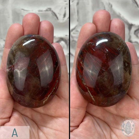 Polished Petrified Wood Palm Stones