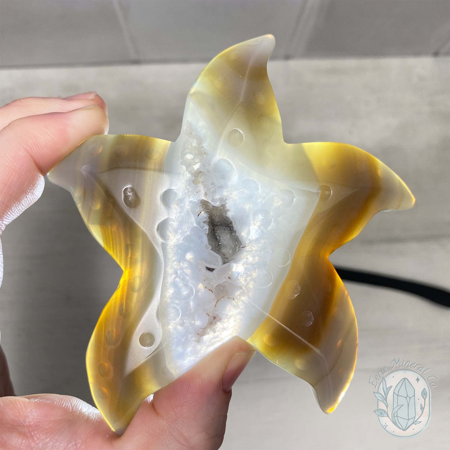 Polished Sandy Gray Banded Druzy Agate Sea Star Carving