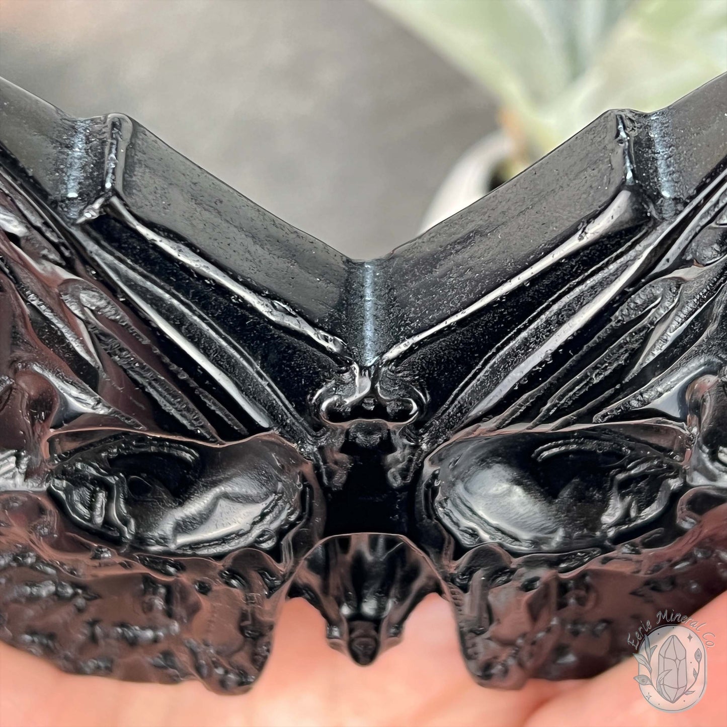 Polished Black Obsidian Death's Head Moth Carving