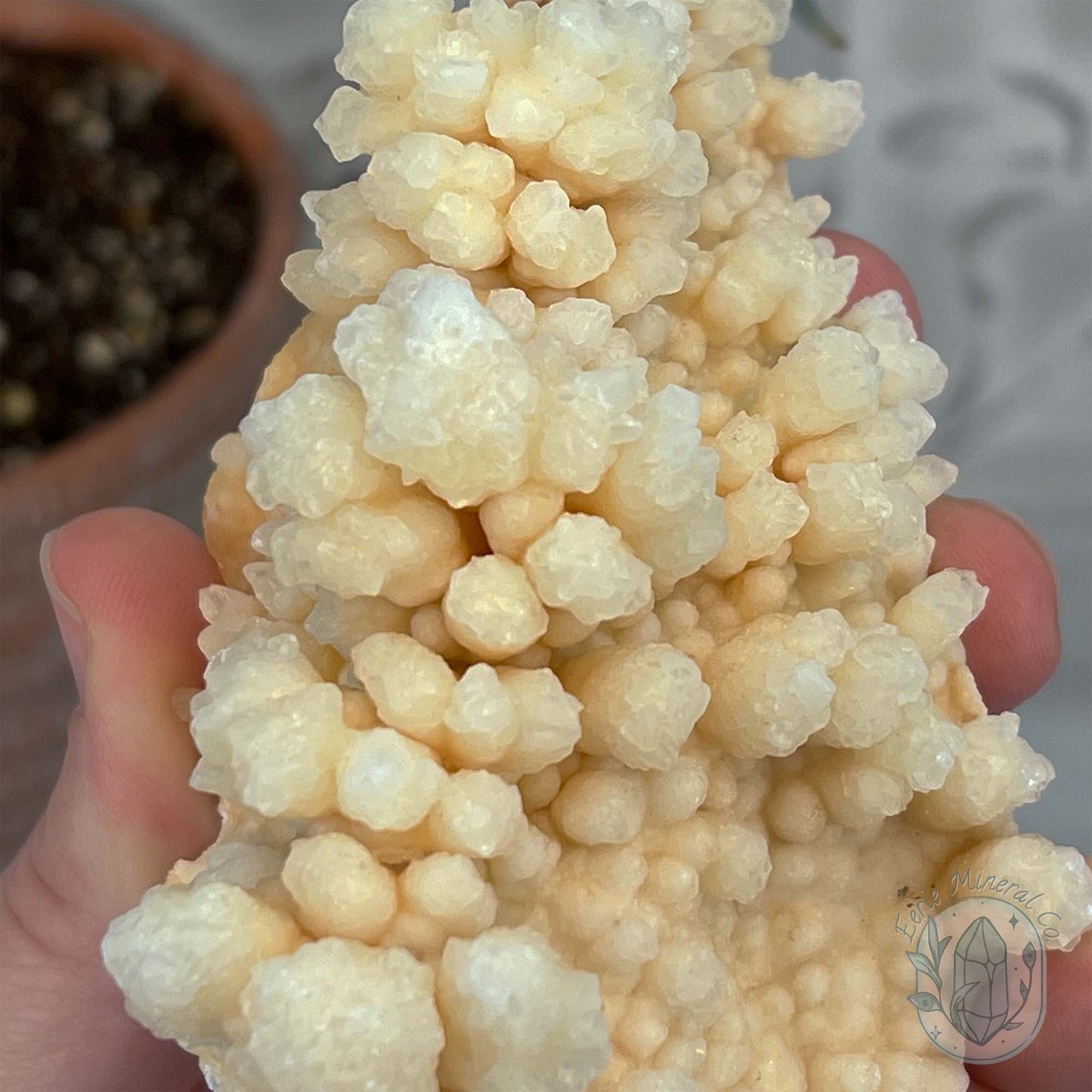 Natural Druzy Cave Calcite Stalactite Specimen
