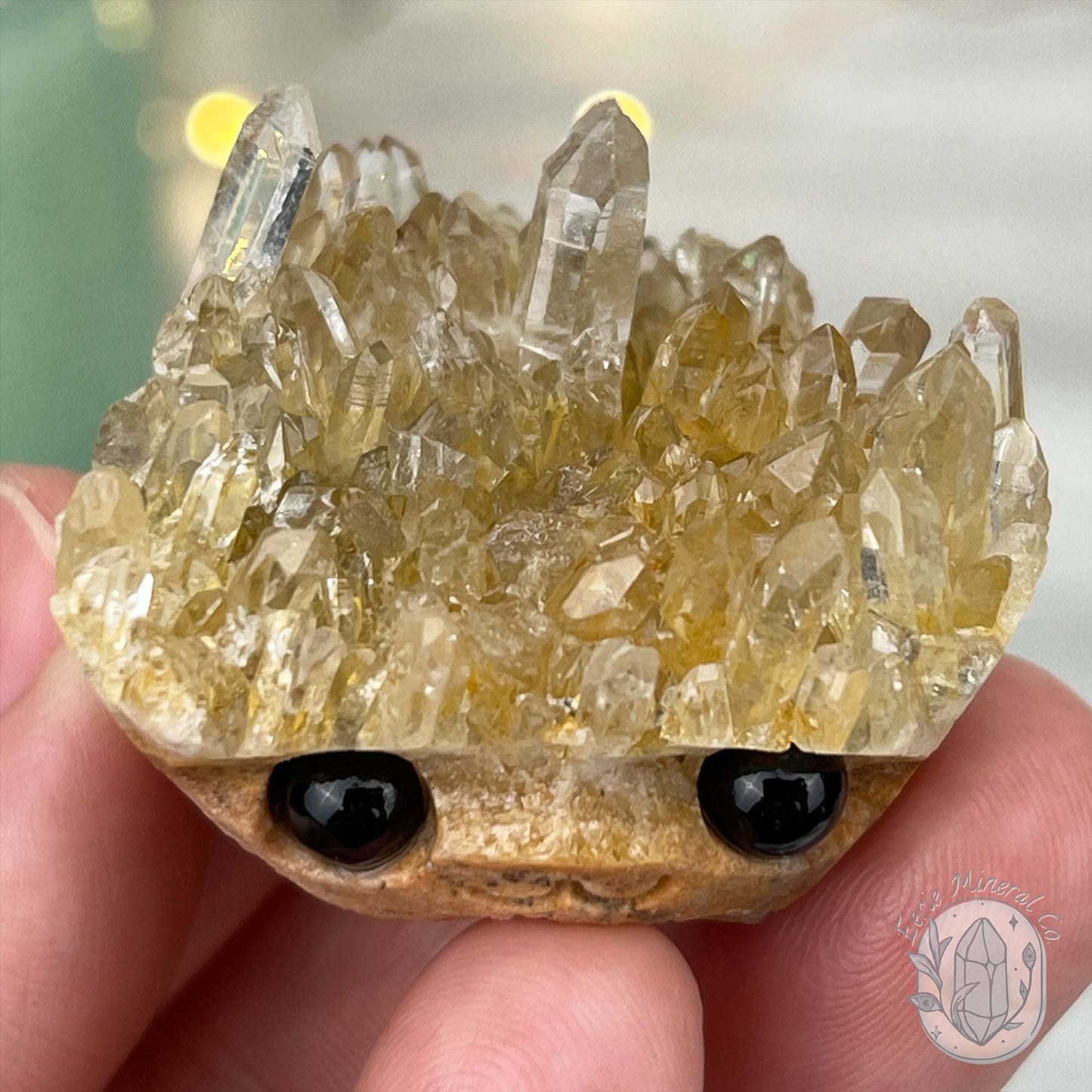 Clear Quartz Crystal Cluster Pet Rock Carving