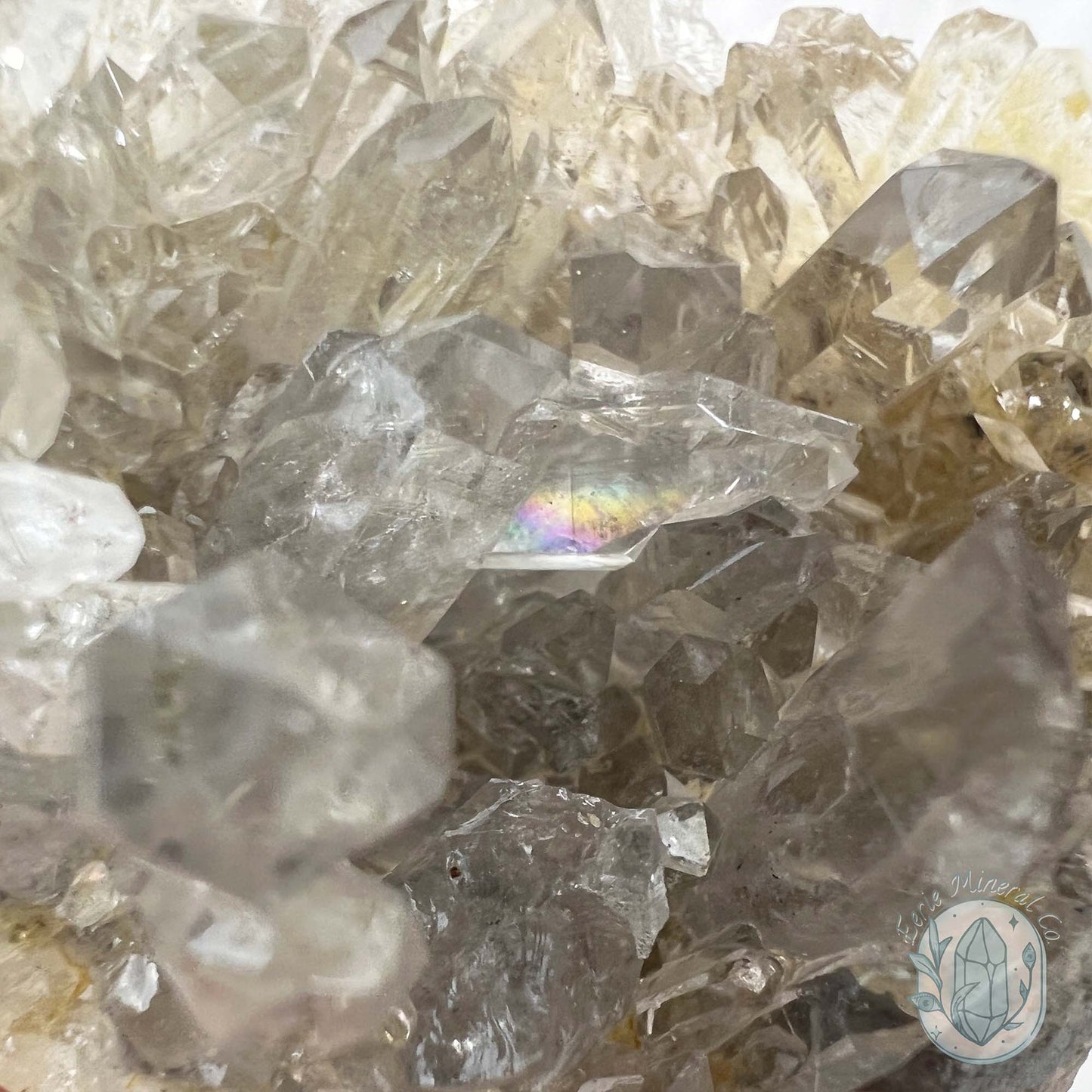 Clear Quartz Crystal Cluster Pet Rock Carving