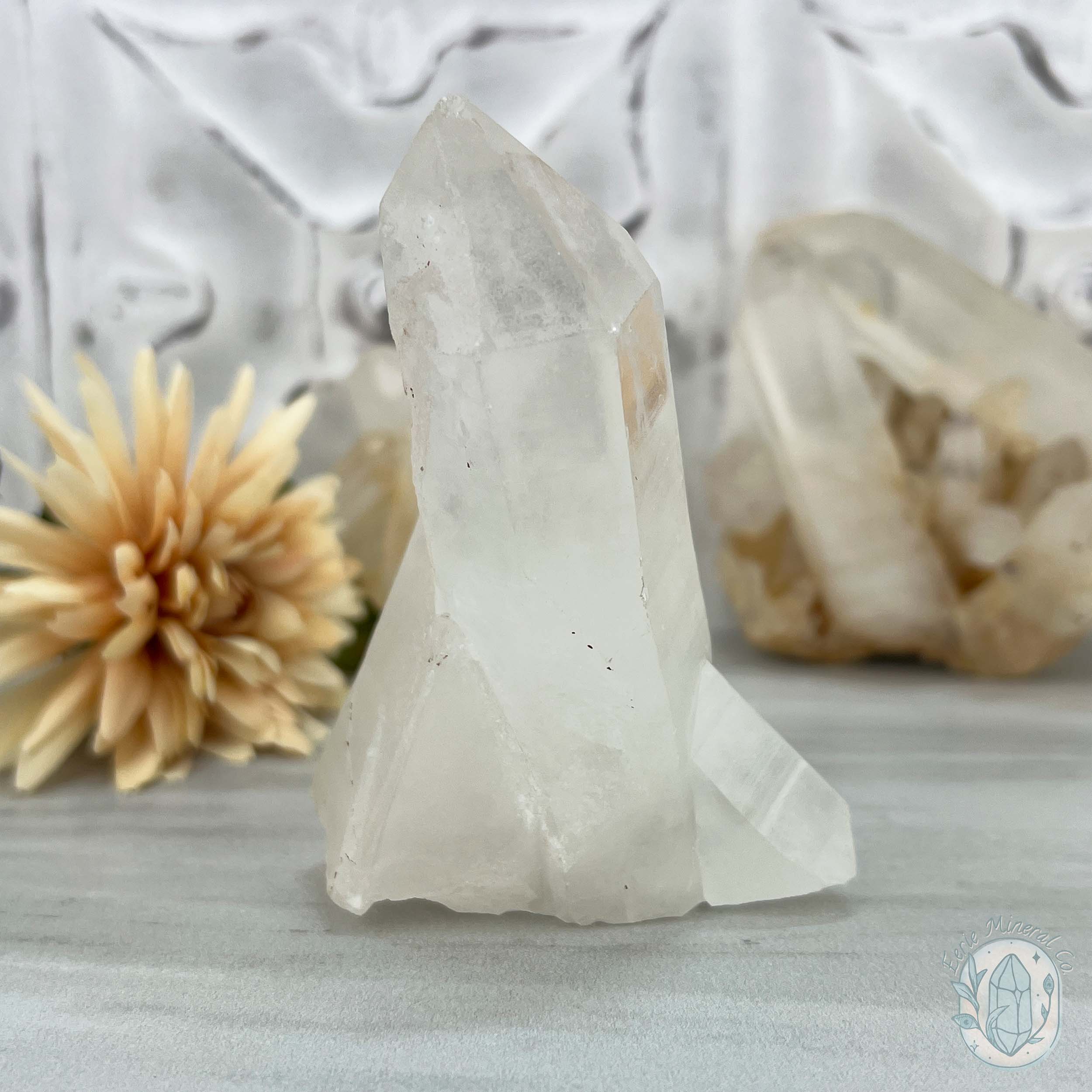 Clear Quartz Crystal Cluster Pet Rock Specimen Pet Rocks for Sale Eerie Mineral Co.