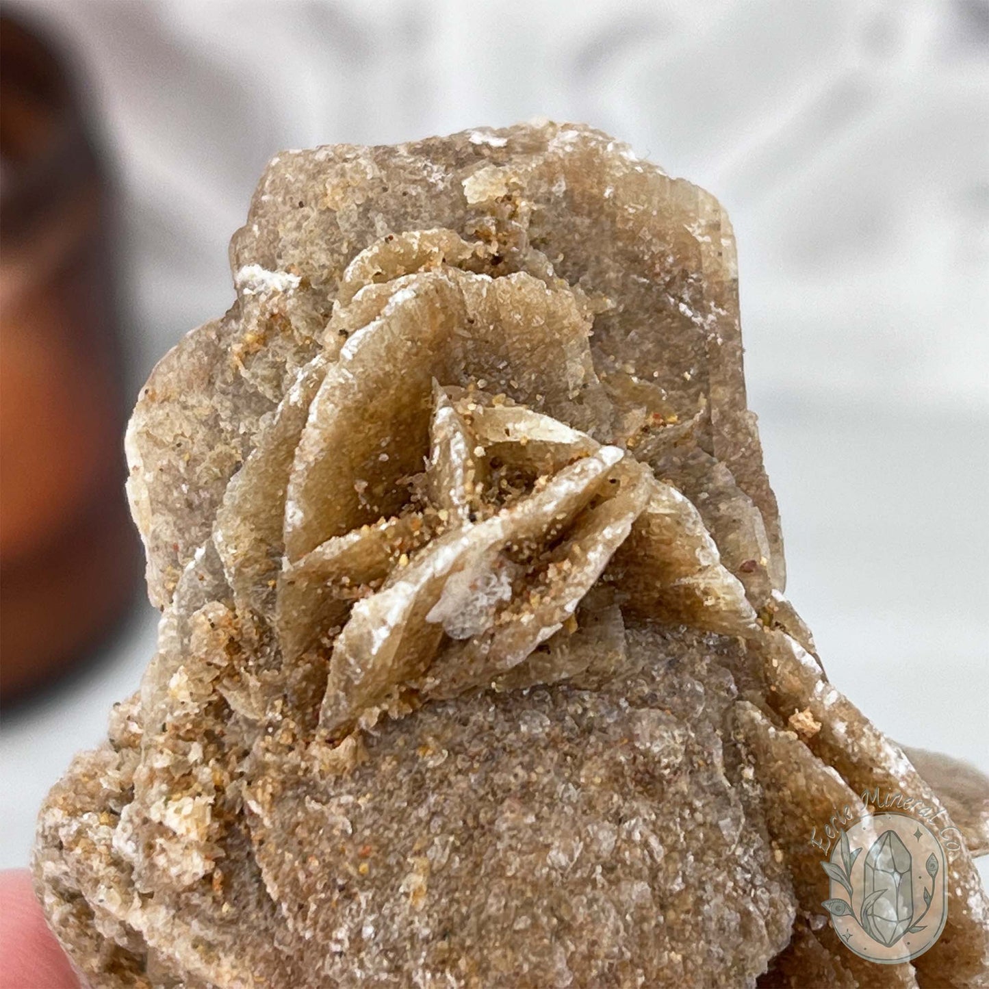 Desert Rose (Gypsum) Hedgehog Specimen