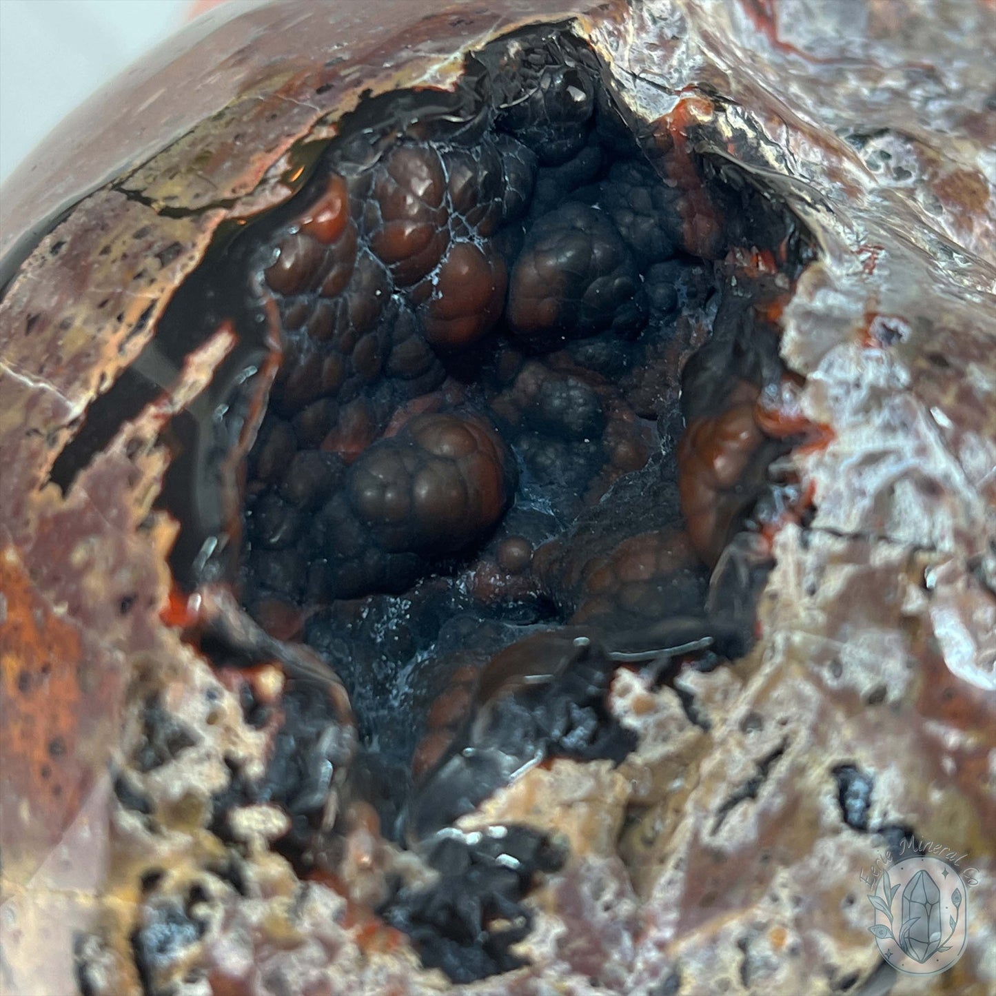 7" Volcanic Red Fox (Orrelanite) Botryoidal Agate Skull Carving