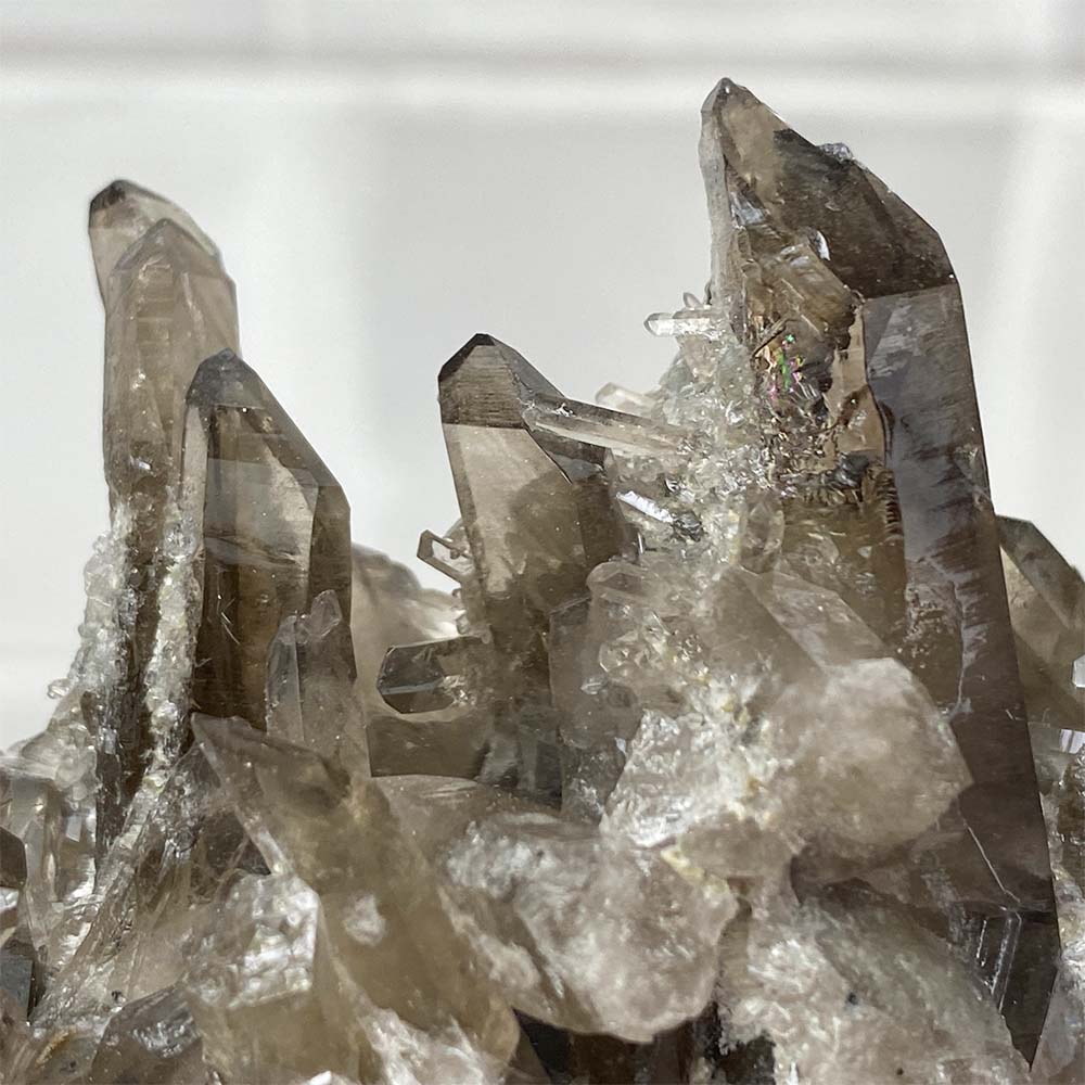 Smoky Specimen Hedgehog Carving