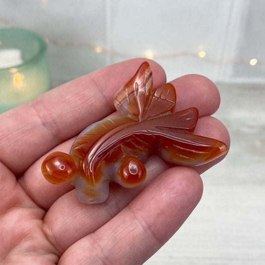 Polished Bubble Eye Agate Goldfish Carvings
