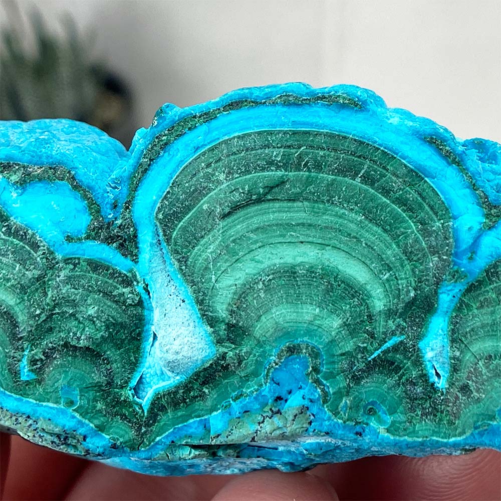 Chrysocolla With Malachite Specimen