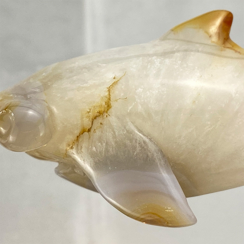 Polished Flower Agate Hammerhead Shark