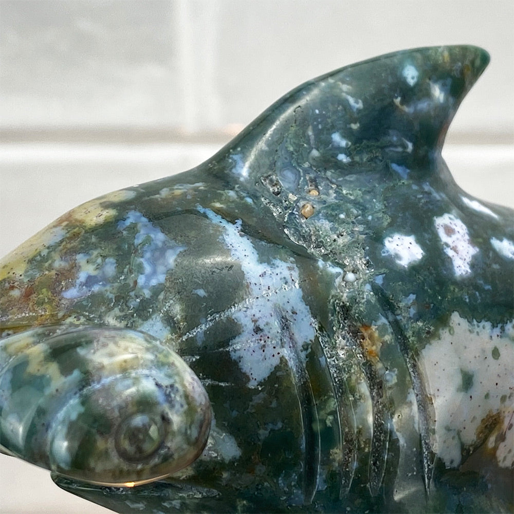 Polished Ocean Jasper Hammerhead Shark