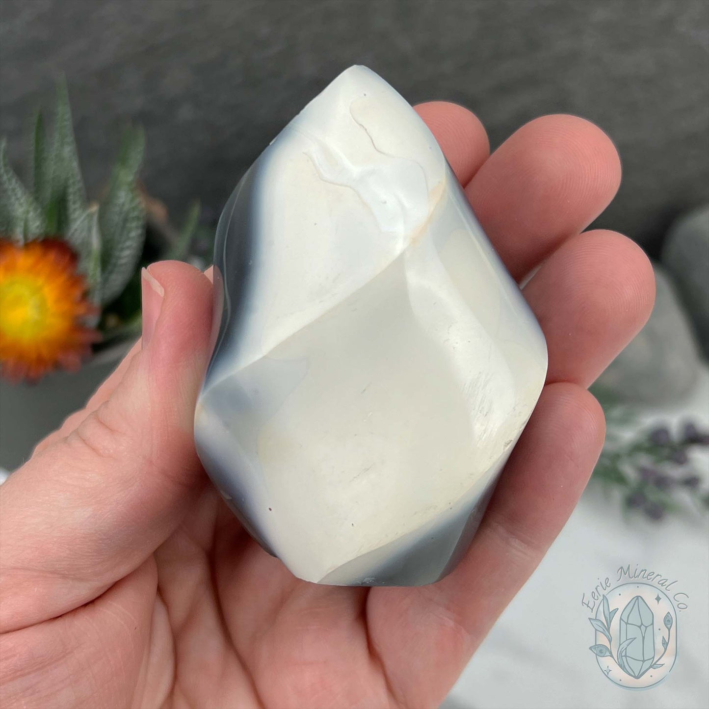 Polished Black and White Orca Agate Flame