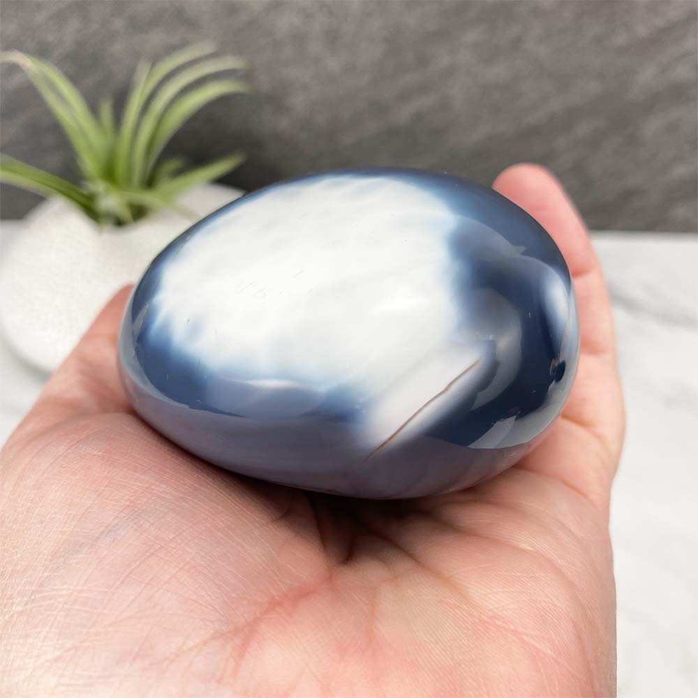 Polished Orca Agate Freeform