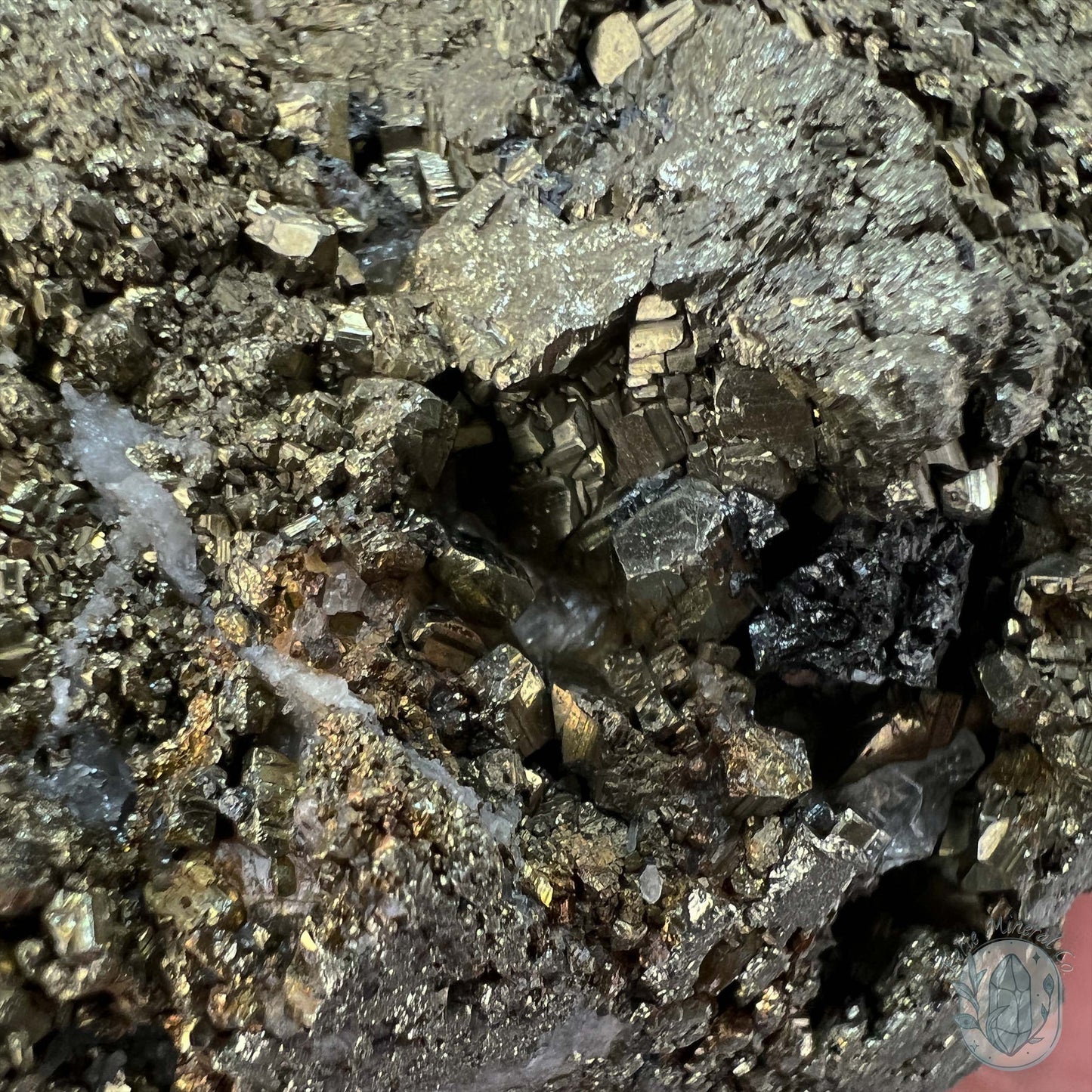 Large Pyrite Specimen with Quartz Pet Rock