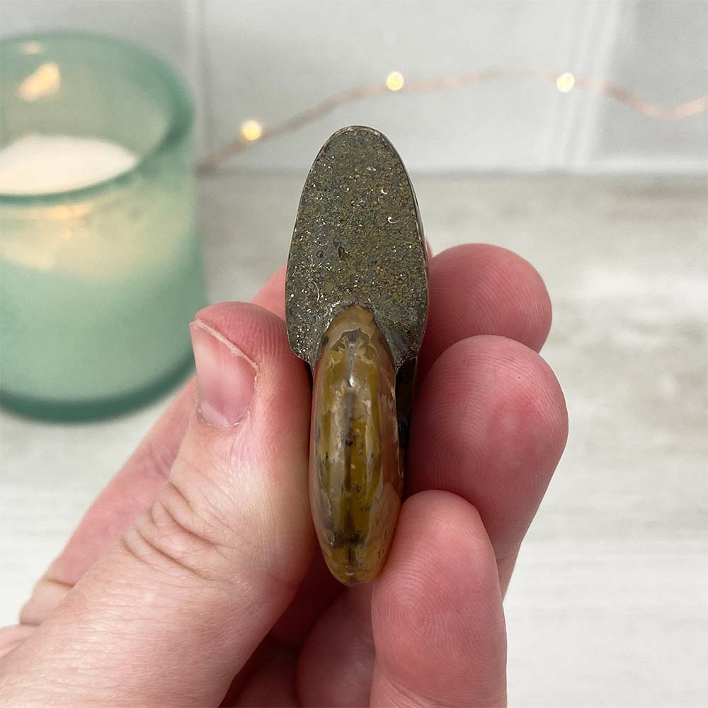 Polished Flashy Fire Iridescent Ammonite Fossil