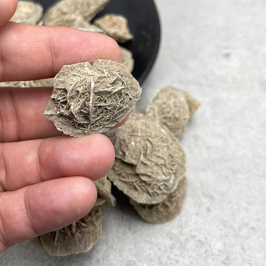 Natural Desert Rose Cluster