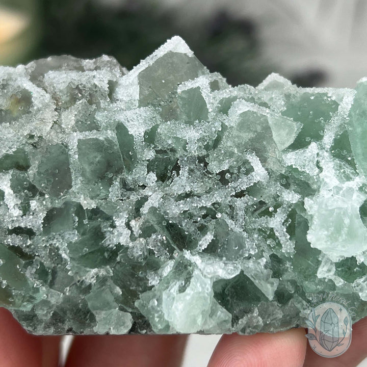 Natural Druzy Green Sugar Fluorite with Quartz Specimen