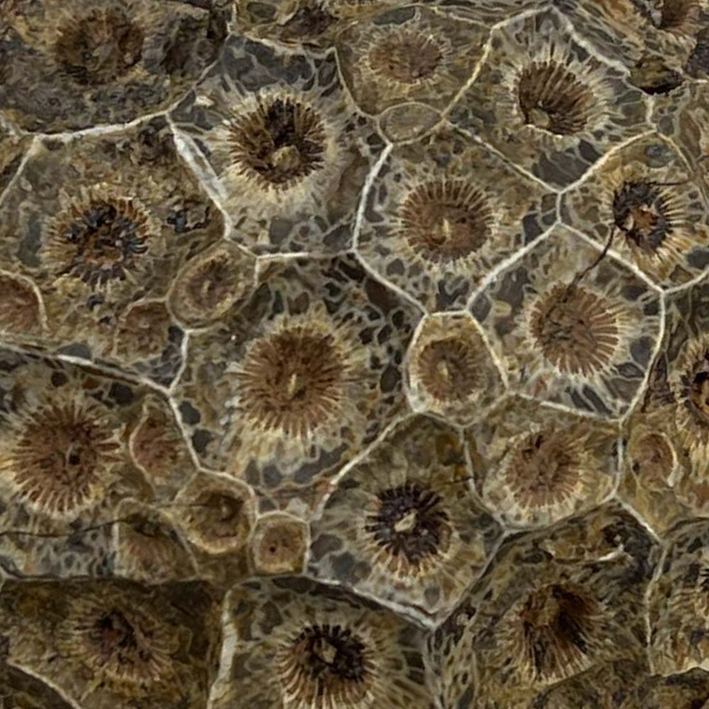 Brown Materials