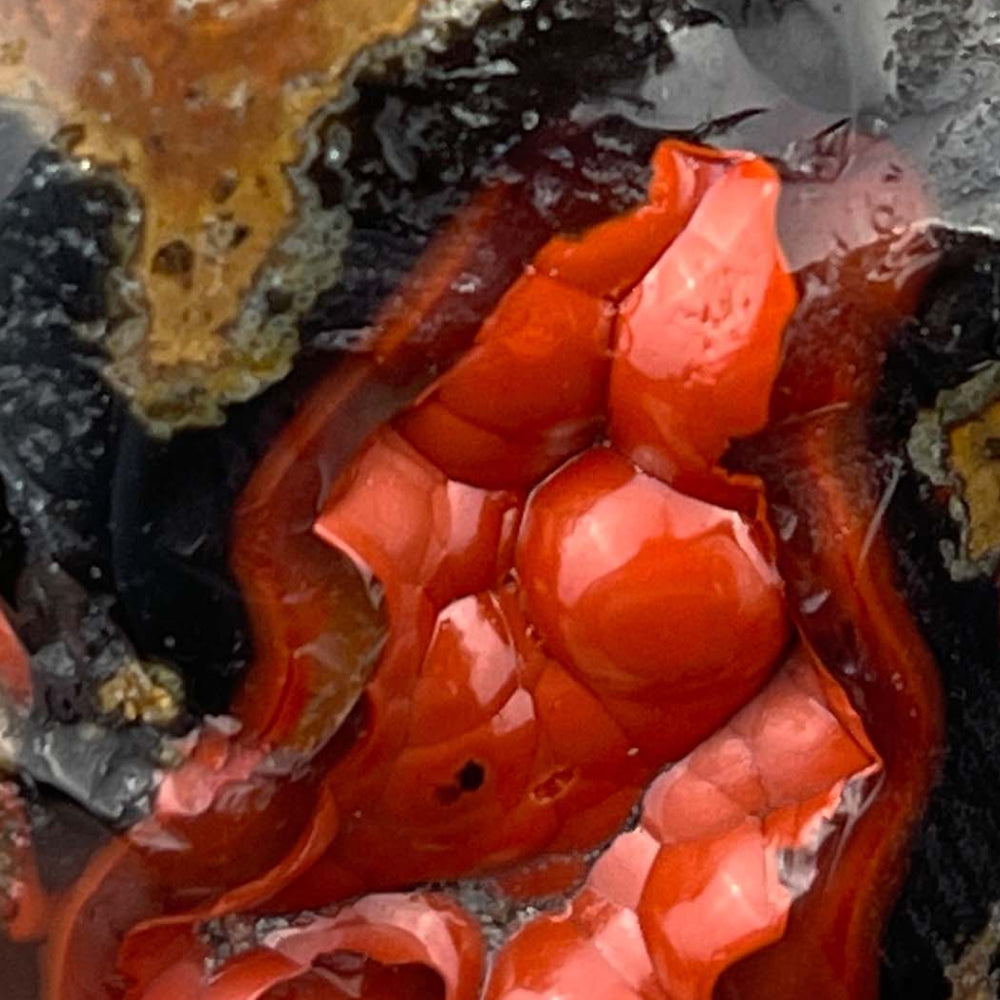 Red Fox Agate