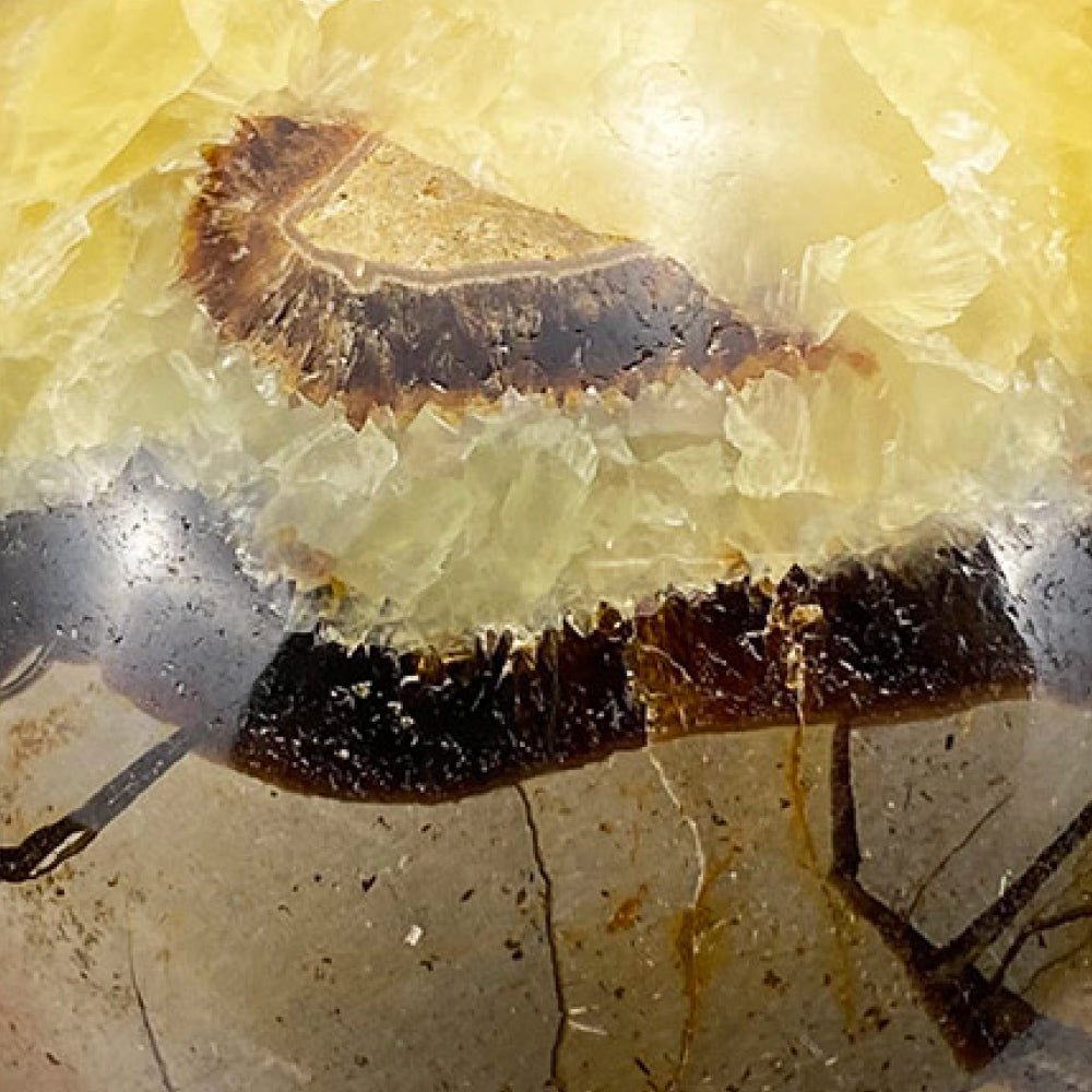 Septarian | Eerie Mineral Co.