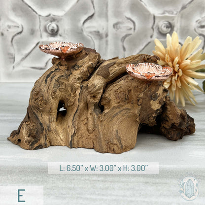 Double Rose Gold Flower Blossom Sphere Holder Driftwood Stands
