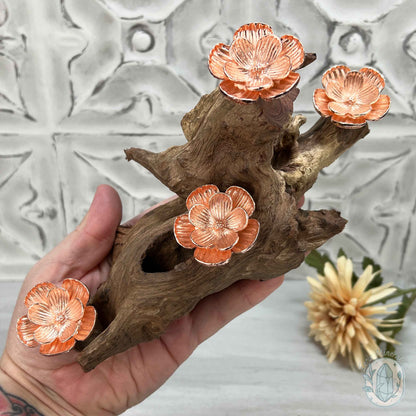 4 Rose Gold Flower Blossom Sphere Holder Driftwood Stand