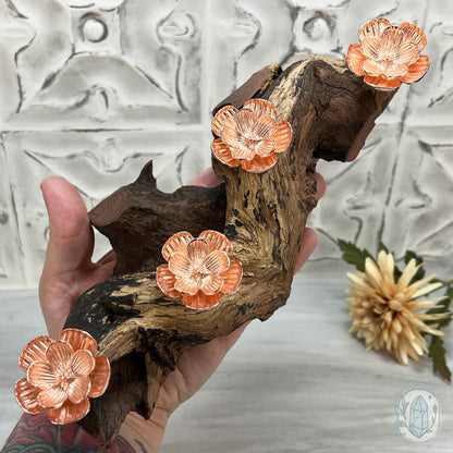 4 Rose Gold Flower Blossom Sphere Holder Driftwood Stand