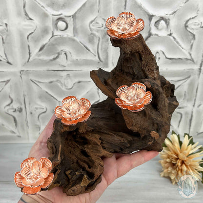 4 Rose Gold Flower Blossom Sphere Holder Driftwood Stand