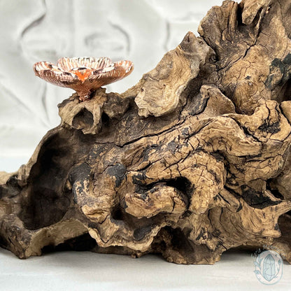 4 Rose Gold Flower Blossom Sphere Holder Driftwood Stand