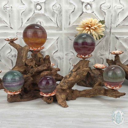 5 Rose Gold Flower Blossom Sphere Holder Driftwood Stands