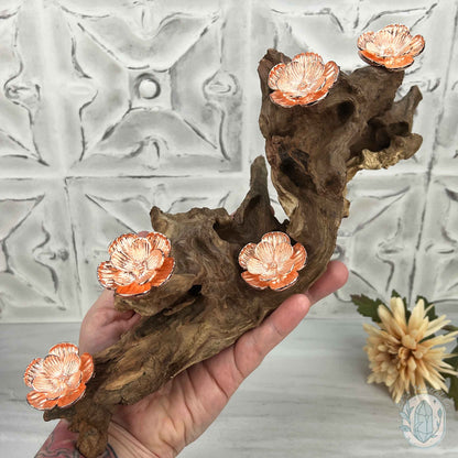 5 Rose Gold Flower Blossom Sphere Holder Driftwood Stands