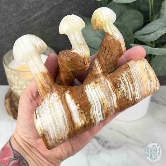 Afghanistan Jade aka Bowenite Mushroom Carving