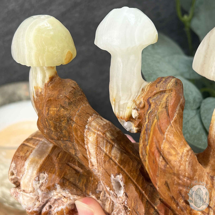 Afghanistan Jade aka Bowenite Mushroom Carving