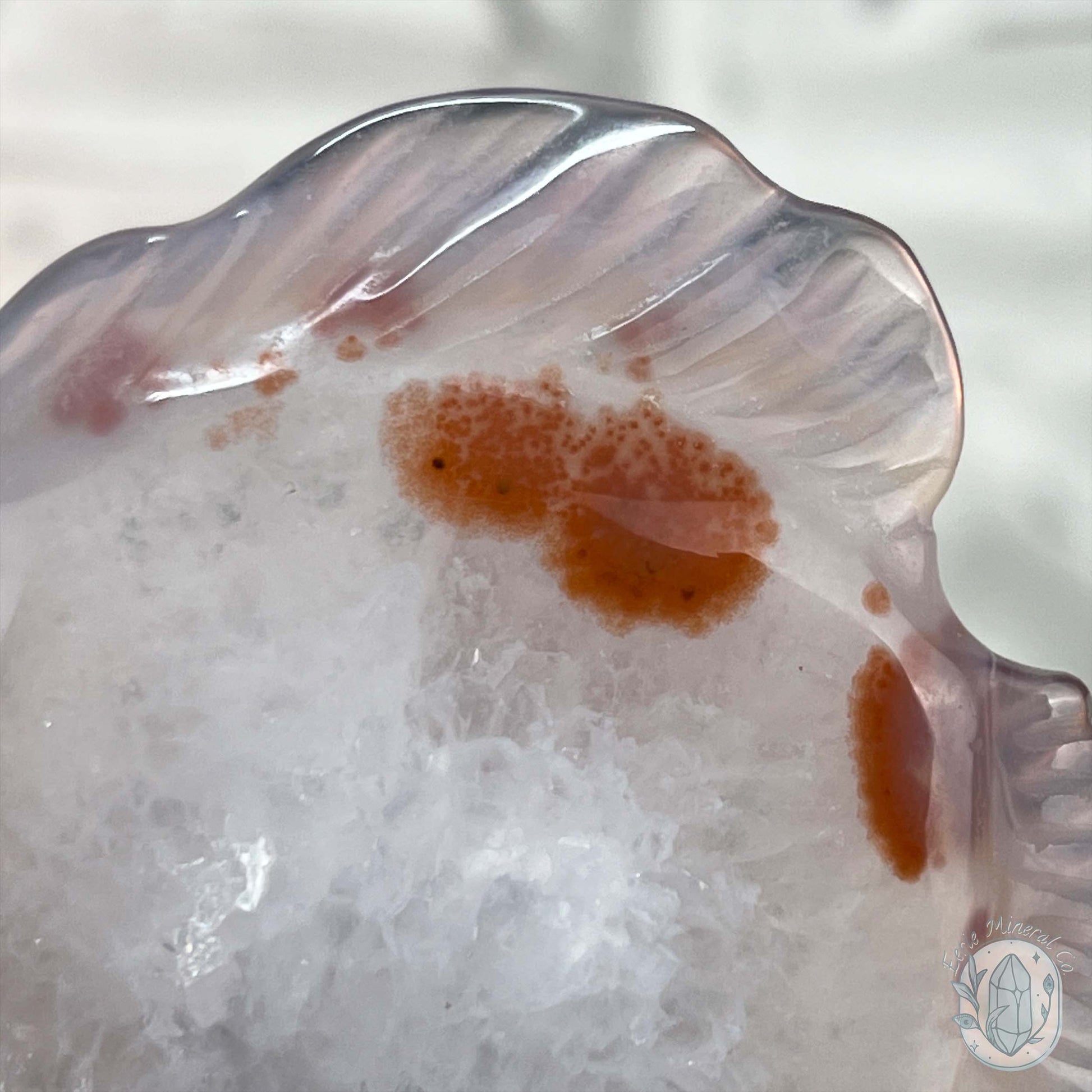 Hand Carved Druzy Agate Fish Carving with Display Stand