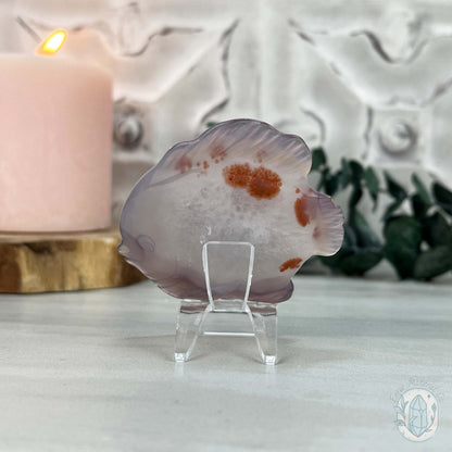 Hand Carved Druzy Agate Fish Carving with Display Stand